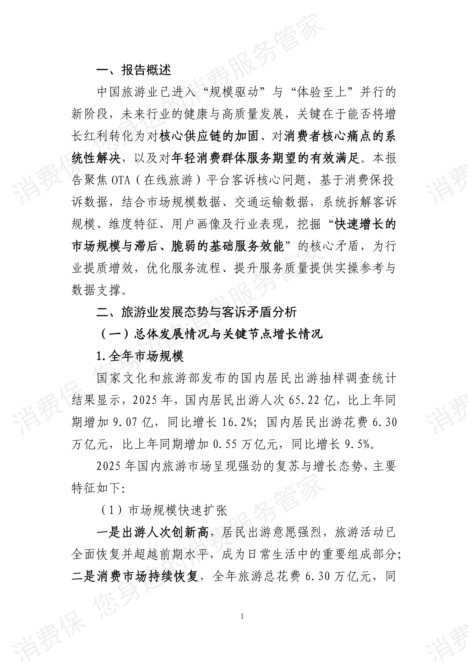 2025年度旅游行业分析报告