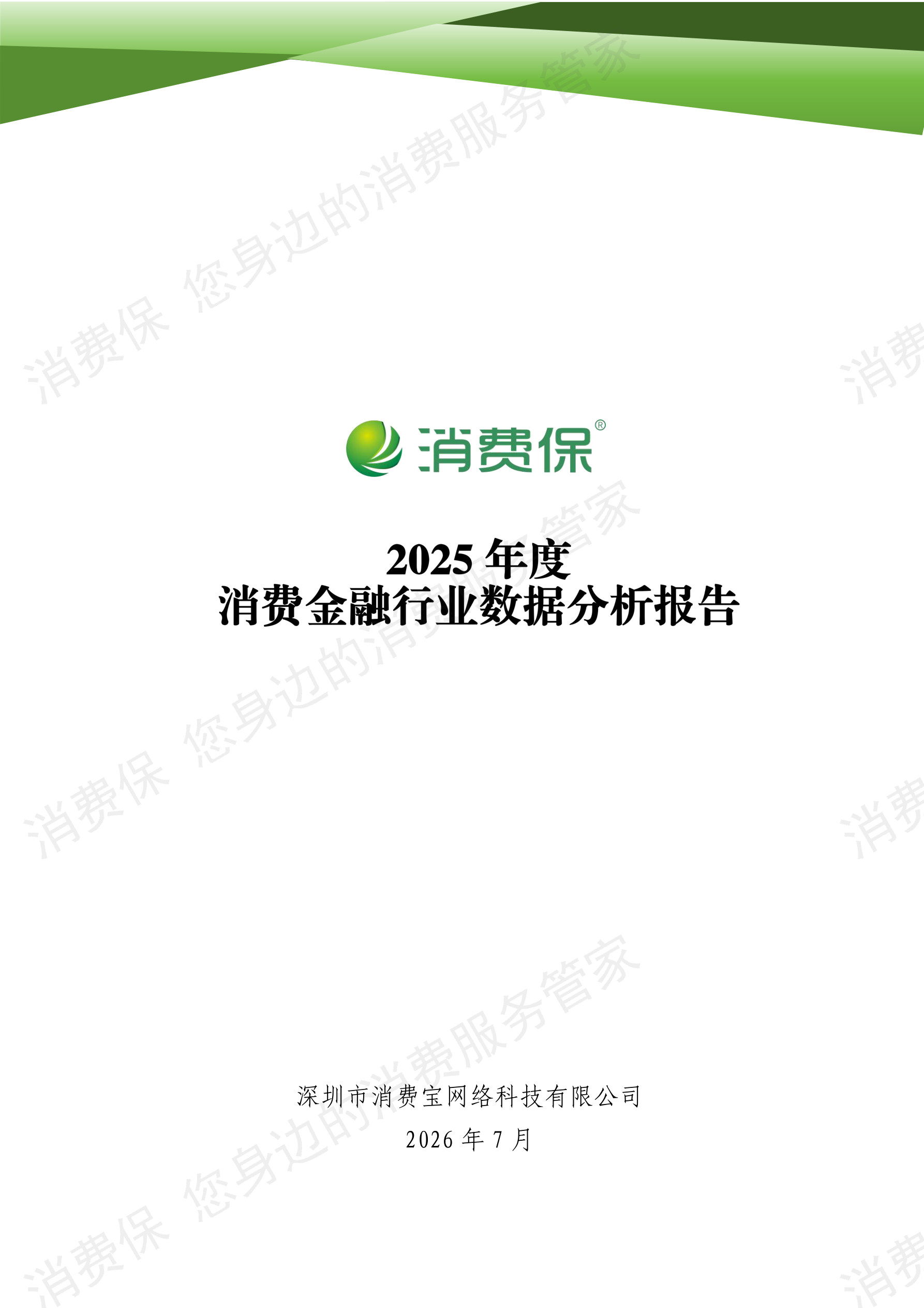 2025年度消费金融行业数据分析报告
